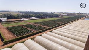 Bayer inauguró estación de investigación para mejoramiento genético de hortalizas y vegetales para el Hemisferio Sur
