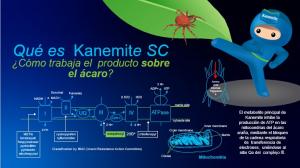 Bayer lanza en Perú acaricida Kanemite