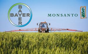 Bayer pide más tiempo para la compra de Monsanto