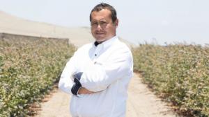 BBC destaca el rol de Carlos Gereda en el nacimiento de la boyante industria del arándano en Perú