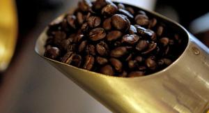 Bélgica, un mercado atractivo y exigente para exportar café