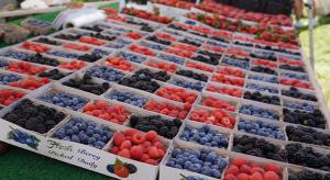 Berries y manzanas siguen siendo las mejores oportunidades para los proveedores de envasado de frutas frescas