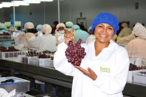 Beta adecuará su planta de  packing a nuevo volumen de cultivos