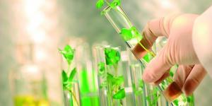 Bioeconomía y biotecnología, factores cruciales para el futuro de la industria alimenticia