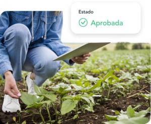 Blockchain permite a agricultores peruanos abrirse paso en los mercados más exigentes
