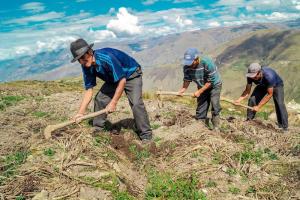 Bono Yanapay Perú ampliará su cobertura hacia pequeños agricultores