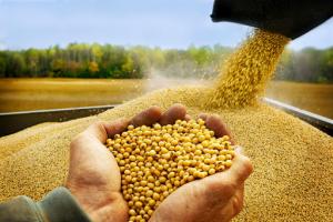Brasil elevará en 27% su producción de granos al 2031