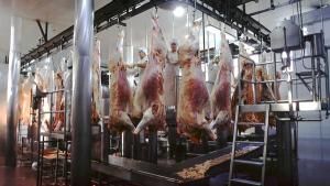 Brasil mezcló carne podrida con otra en buen estado y la vendió; ahora le cierran los mercados de exportación