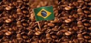 Brasil producirá 46.72 millones de sacos de café este año