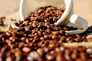 Buenos precios influyen en los mejores ingresos por exportación de café