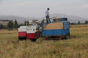 <span class='highlight'></span>B<span class='highlight'></span>U<span class='highlight'></span>S<span class='highlight'></span>C<span class='highlight'></span>A<span class='highlight'></span>N<span class='highlight'></span> <span class='highlight'></span>R<span class='highlight'></span>E<span class='highlight'></span>N<span class='highlight'></span>E<span class='highlight'></span>G<span class='highlight'></span>O<span class='highlight'></span>C<span class='highlight'></span>I<span class='highlight'></span>A<span class='highlight'></span>R<span class='highlight'></span> <span class='highlight'></span>D<span class='highlight'></span>E<span class='highlight'></span>U<span class='highlight'></span>D<span class='highlight'></span>A<span class='highlight'></span>S<span class='highlight'></span> <span class='highlight'></span>D<span class='highlight'></span>E<span class='highlight'></span> <span class='highlight'></span>A<span class='highlight'></span>G<span class='highlight'></span>R<span class='highlight'></span>I<span class='highlight'></span>C<span class='highlight'></span>U<span class='highlight'></span>L<span class='highlight'></span>T<span class='highlight'></span>O<span class='highlight'></span>R<span class='highlight'></span>E<span class='highlight'></span>S<span class='highlight'></span> <span class='highlight'></span>P<span class='highlight'></span>E<span class='highlight'></span>R<span class='highlight'></span>J<span class='highlight'></span>U<span class='highlight'></span>D<span class='highlight'></span>I<span class='highlight'></span>C<span class='highlight'></span>A<span class='highlight'></span>D<span class='highlight'></span>O<span class='highlight'></span>S<span class='highlight'></span> <span class='highlight'></span>P<span class='highlight'></span>O<span class='highlight'></span>R<span class='highlight'></span> <span class='highlight'></span>E<span class='highlight'></span>L<span class='highlight'></span> <span class='highlight'></span>P<span class='highlight'></span>A<span class='highlight'></span>R<span class='highlight'></span>O<span class='highlight'></span>