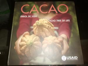 Cacao: un producto transformador en el Perú