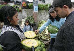 CAE PRECIO DEL ZAPALLO MACRE EN 17,4%