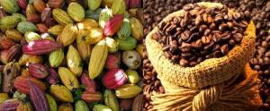 Café y cacao peruanos generan potencial de negocios de US$ 860 mil en feria alimentaria líder de Chile