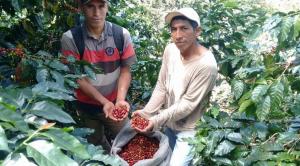 Cafetaleros del Vraem expondrán sus mejores productos en Miraflores