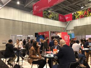 Cafetaleros peruanos logran interés comercial por US$ 27 millones en feria Specialty Coffee Expo