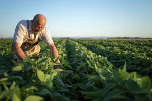 Caja Piura: 3.147 agricultores accedieron a un crédito por primera vez en el primer trimestre del 2022