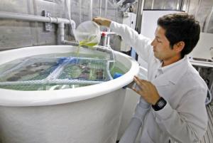 Cajamarca conformará alianzas para innovar en pesca y acuicultura