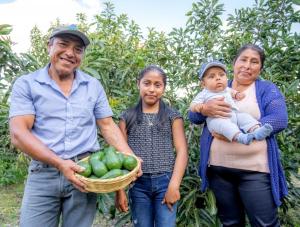 Cajamarca: Minera Pan American Silver gana premio Desarrollo sostenible 2021 con proyecto productivo de palta