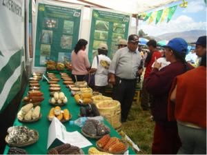 CÁMARA DE COMERCIO DE AYACUCHO IMPULSARÁ FERIA AGROPECUARIA