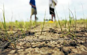 Cambio climático y su impacto sobre la agricultura