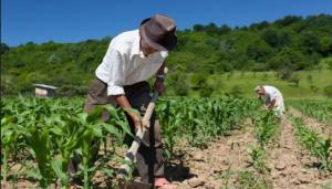 Cambio de titularidad de licencia de uso de agua con fines agrarios será gratuito