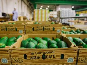 Camposol busca diversificar mercados con la mirada en Latinoamérica