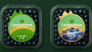 Camposol lidera el arranque de la campaña de arándanos a china
