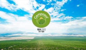 Camposol reporta crecimiento en el primer semestre de 2025