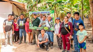 Capacitan a agricultores para mejorar cultivo de plátano en San Martín