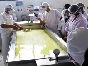 Capacitan a productores lácteos de Chachapoyas para mejorar productividad de leche