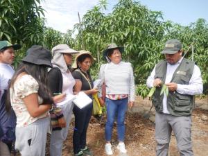 Capacitarán a productores de Moro en Áncash ante crisis climática