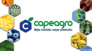Capeagro actúa con propuestas innovadoras y responsables
