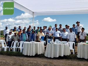 Capeagro aplica mejores tecnologías para incrementar productividad en arroz