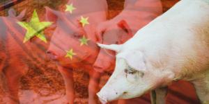 Carne de cerdo para China: negociaciones para abrir mercado se reanudarían en agosto