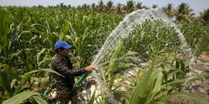 Casi 7 mil agricultores desarrollarán estrategia para evitar deforestación en 144 mil hectáreas