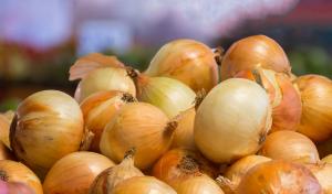 Cebolla amarilla, quinua, uva, cacao y café son los productos que más podrían reducir su costo de exportación con mejoras logísticas