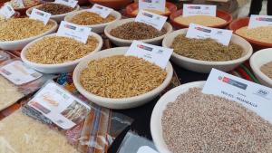 Chiclayo será sede del II Congreso Peruano de Semillas y Viveros