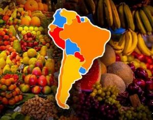 Chile es el único país de Sudamérica entre los 5 mayores exportadores de fruta en el mundo
