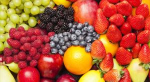 Chile: exportaciones de frutas frescas a Latinoamérica alcanzan las 536.053 toneladas en campaña 2021/2022