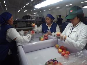 Chile inauguró el centro de inspección sanitaria más grande y moderno de Sudamérica