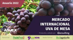 Chile se mantiene como el principal exportador de uva de mesa del hemisferio sur