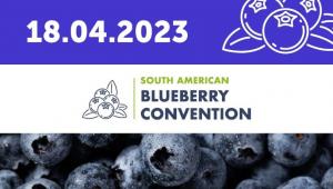 Chile será sede del South American Blueberry Convention