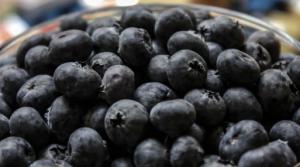 Chilena Hortifruit controlará al mayor productor de arándanos de Perú