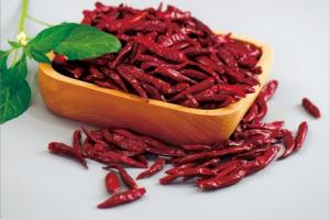 China empieza a consolidar su exportación de chile