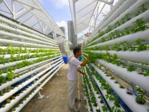 China encabeza la lista de seguridad alimentaria mundial