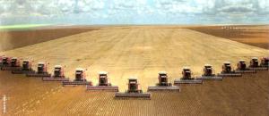 China podría reemplazar sus importaciones de soya de EE.UU. por Argentina y Brasil