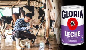 Choque entre Gloria y los ganaderos por efectos de cambios en el Reglamento de la Leche