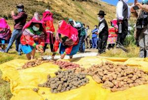 Cierre de mercado boliviano afecta a productores agropecuarios peruanos
