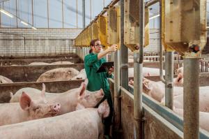 Cinco consideraciones sobre la bioseguridad en las granjas